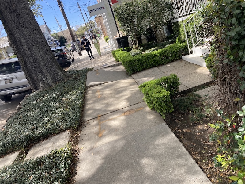 IMG_0941.jpeg