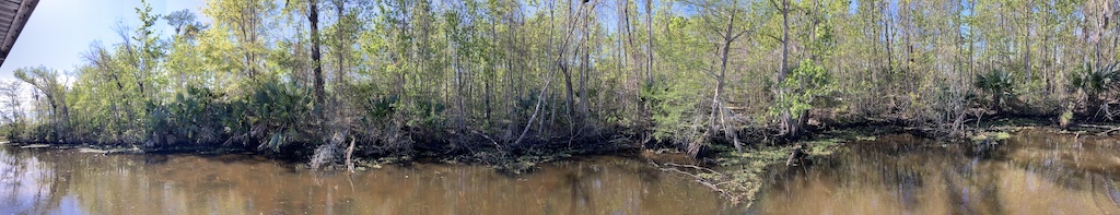 IMG_1395.jpeg
