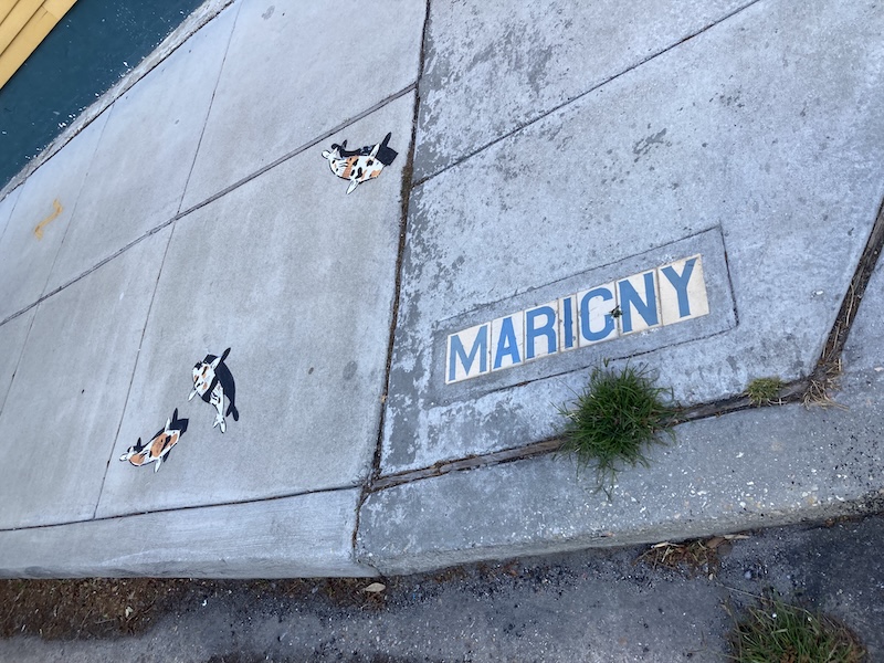 IMG_1438.jpeg