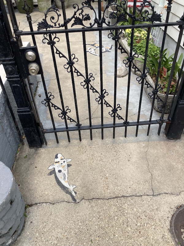 IMG_1480.jpeg