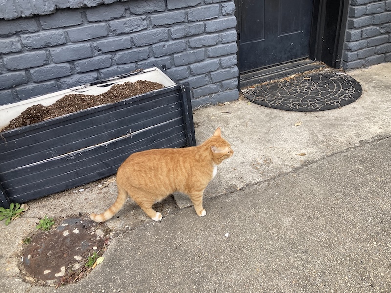 IMG_1482.jpeg