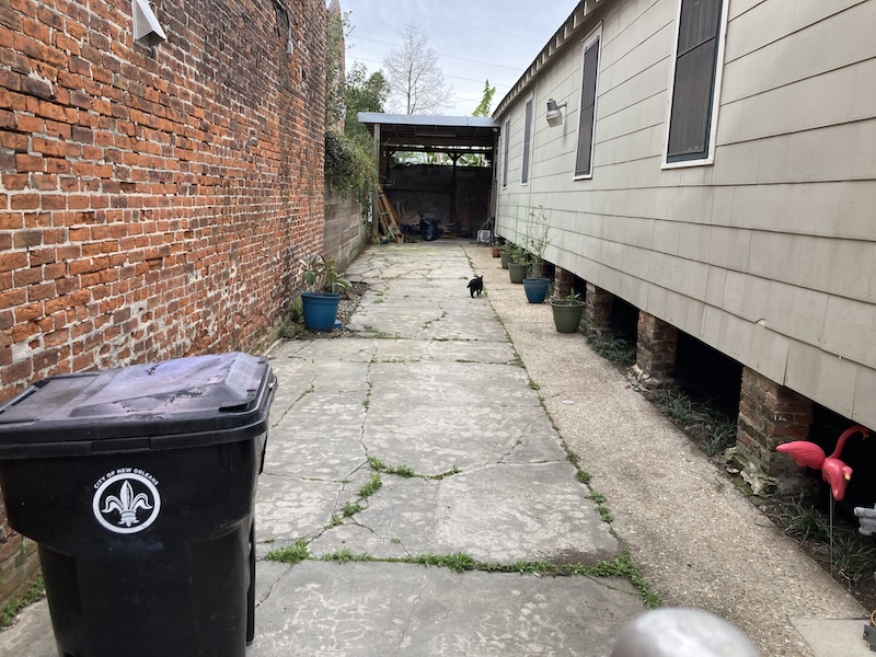IMG_1483.jpeg