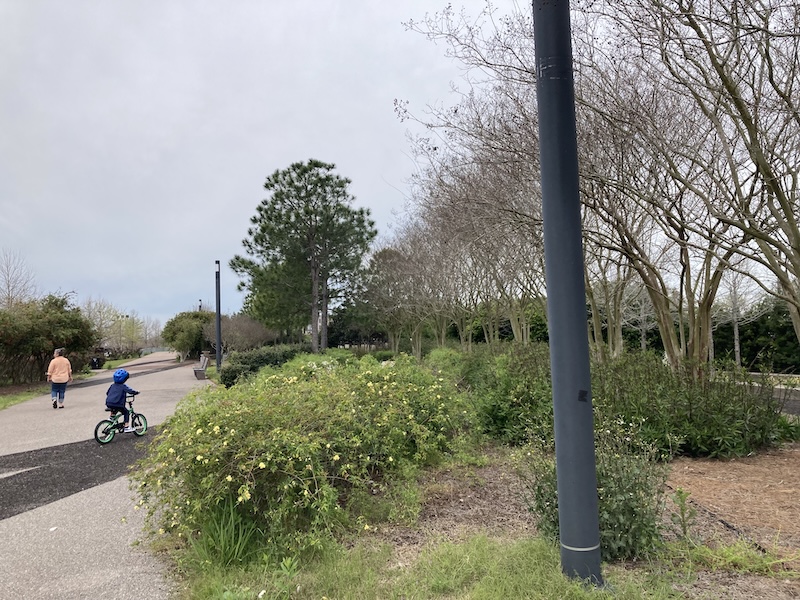 IMG_1496.jpeg