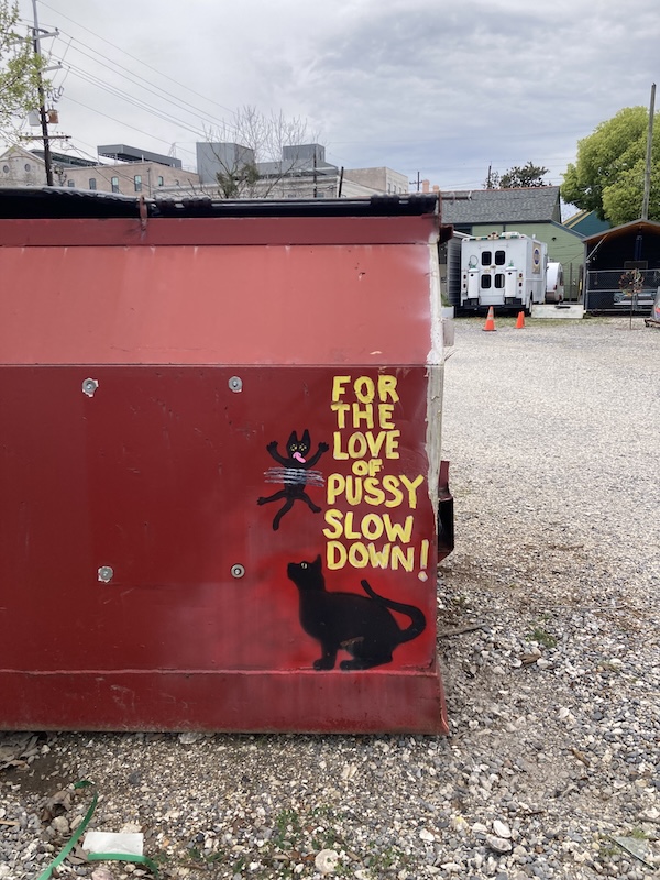 IMG_1517.jpeg