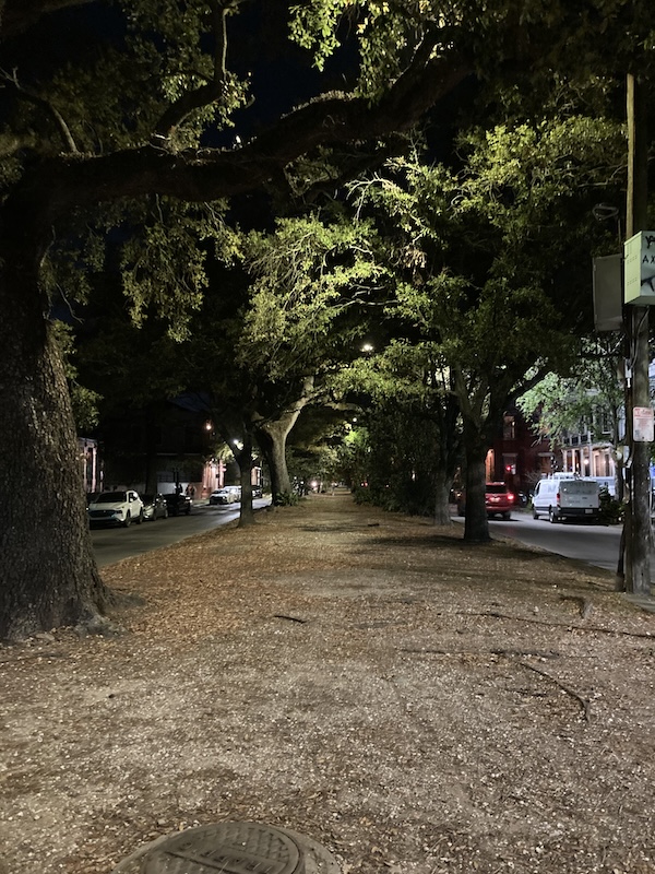 IMG_1613.jpeg