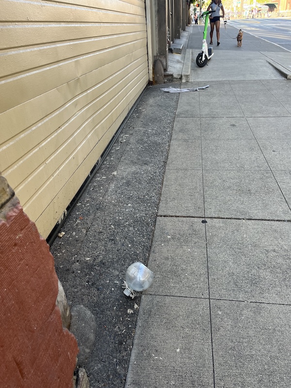 IMG_A2407.jpeg