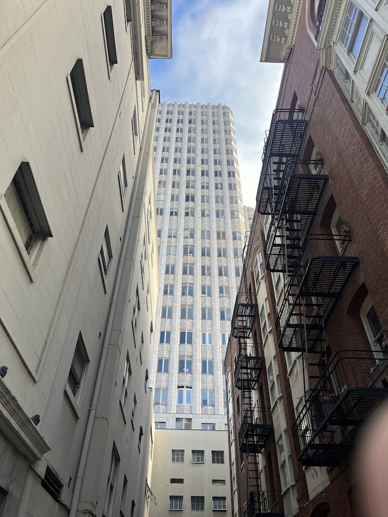 IMG_3749.jpeg