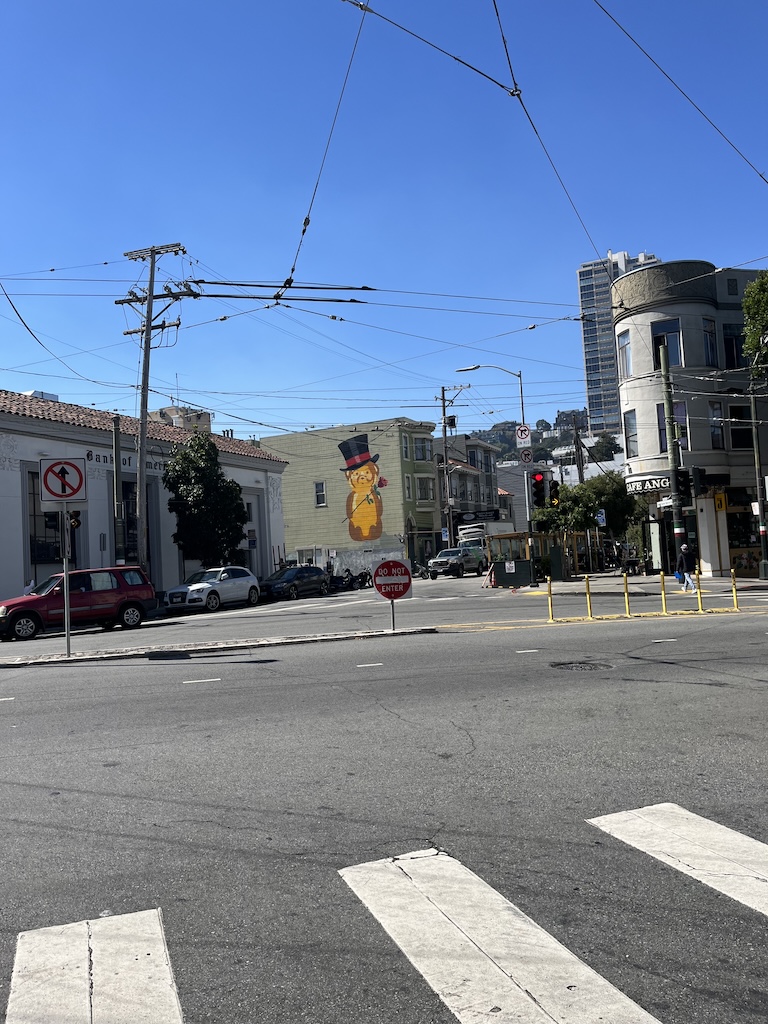 IMG_3768.jpeg