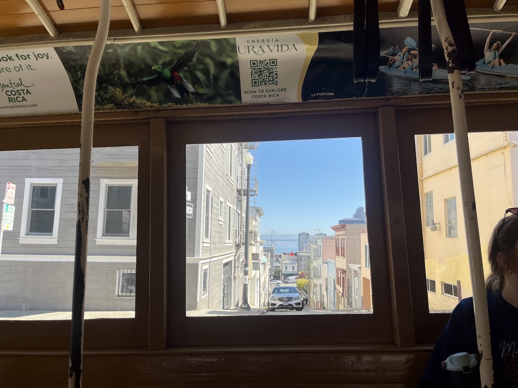 IMG_3771.jpeg