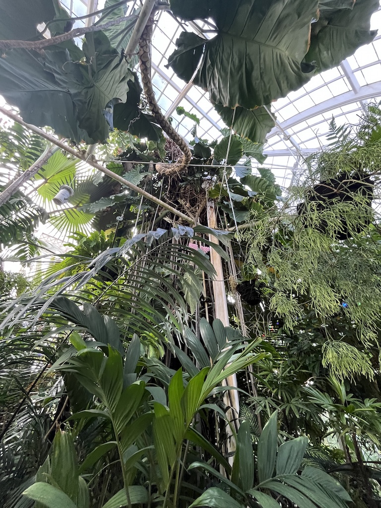 IMG_3836.jpeg