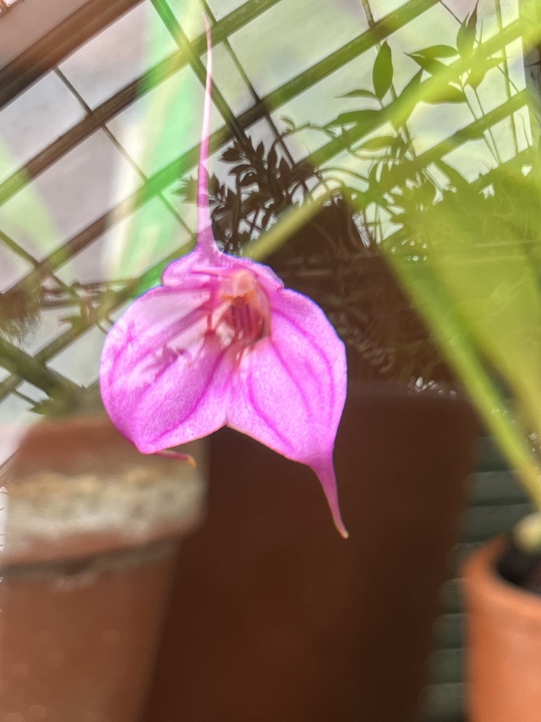 IMG_3842.jpeg