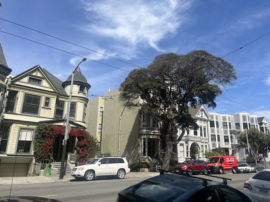 IMG_3884.jpeg