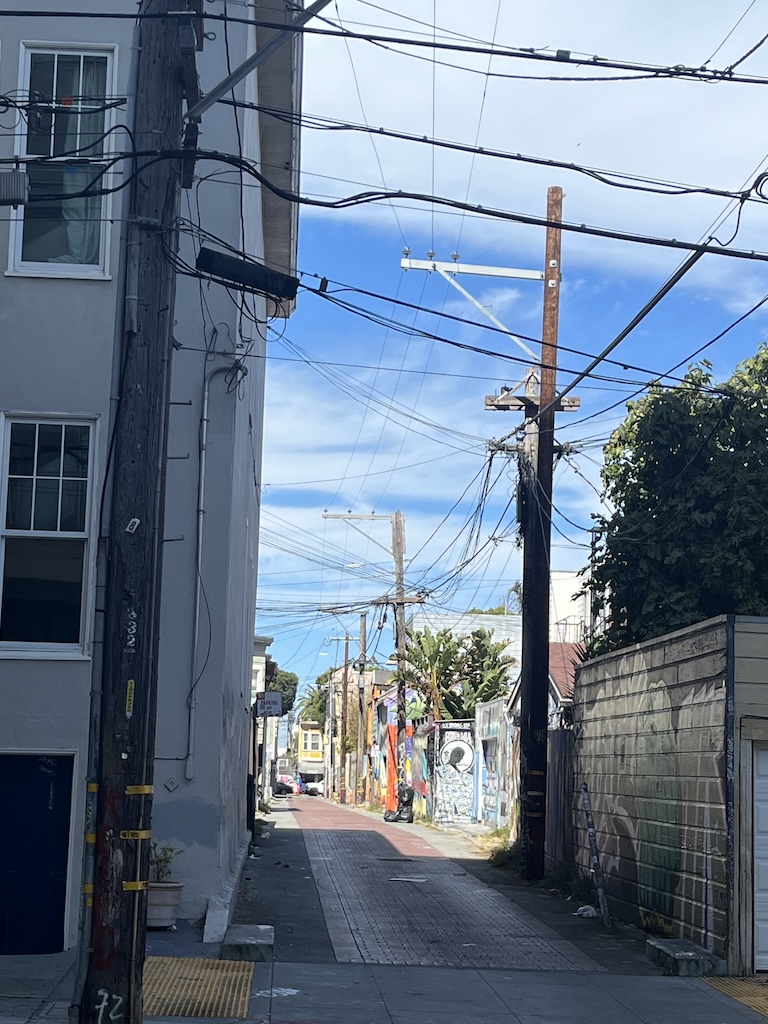 IMG_3951.jpeg