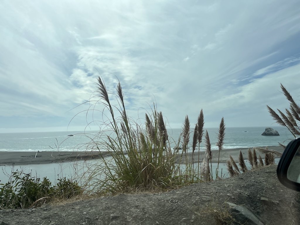 IMG_4007.jpeg