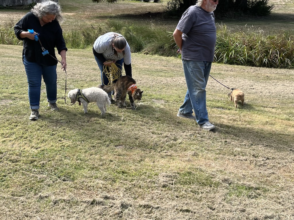 IMG_4039.jpeg