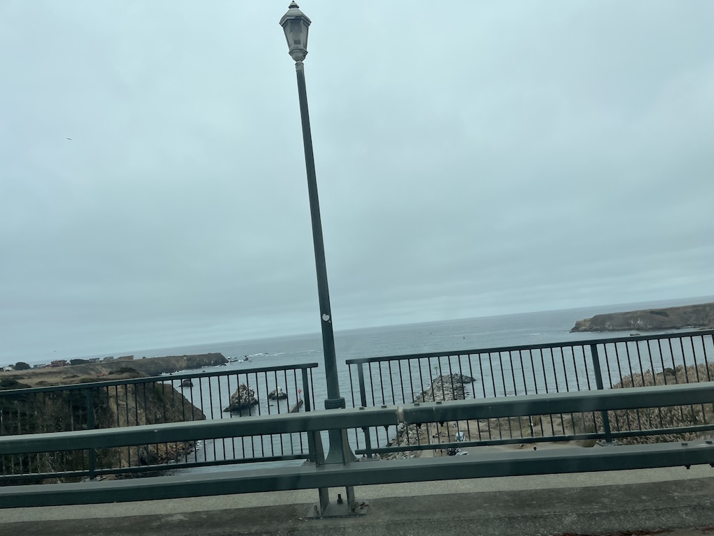 IMG_4056.jpeg