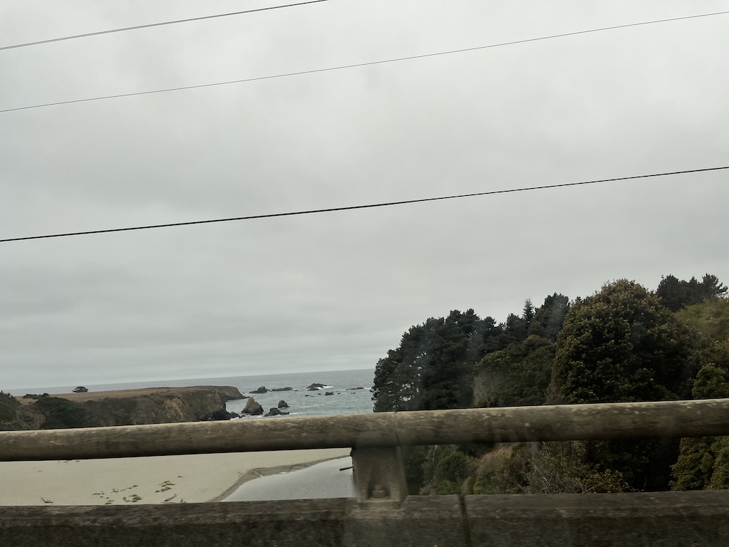 IMG_4058.jpeg