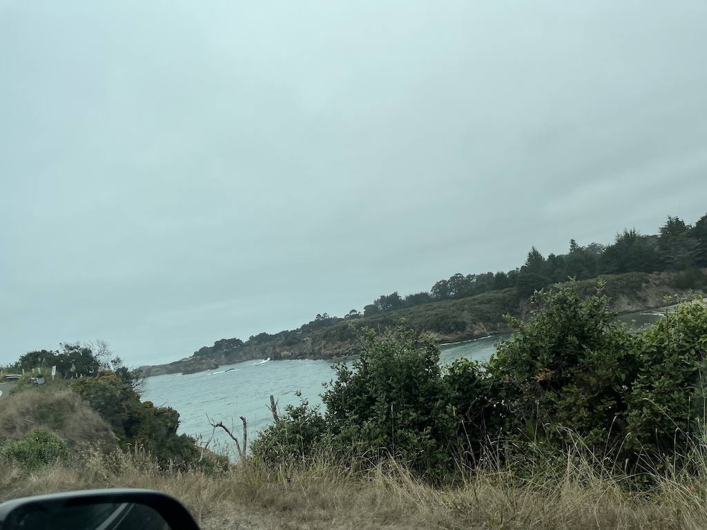 IMG_4062.jpeg
