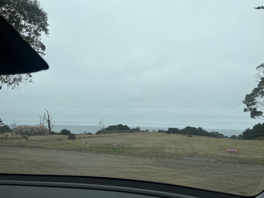 IMG_4064.jpeg
