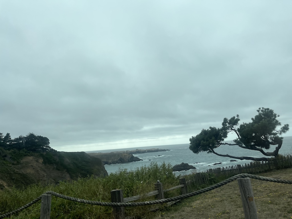 IMG_4096.jpeg