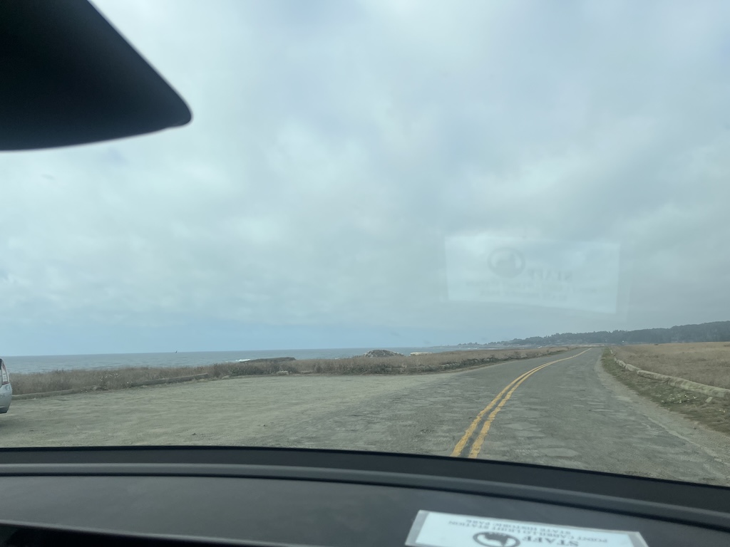 IMG_4101.jpeg