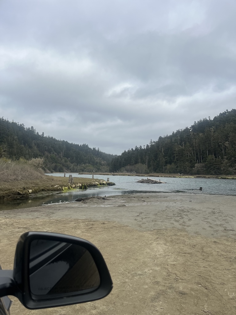 IMG_4106.jpeg