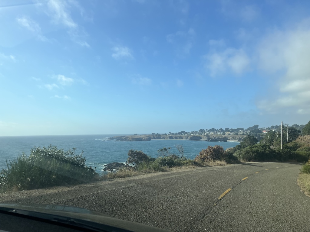 IMG_4113.jpeg