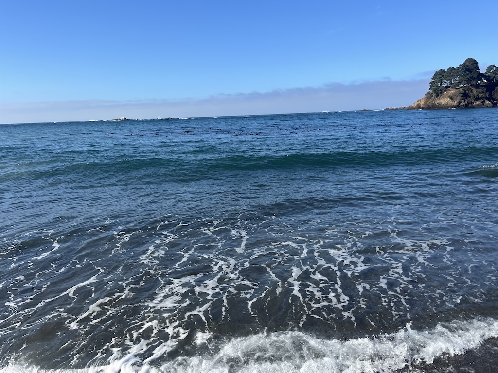 IMG_4119.jpeg