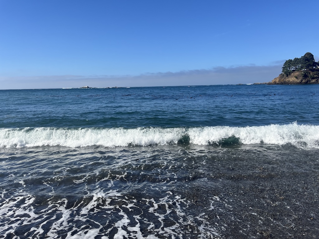 IMG_4120.jpeg
