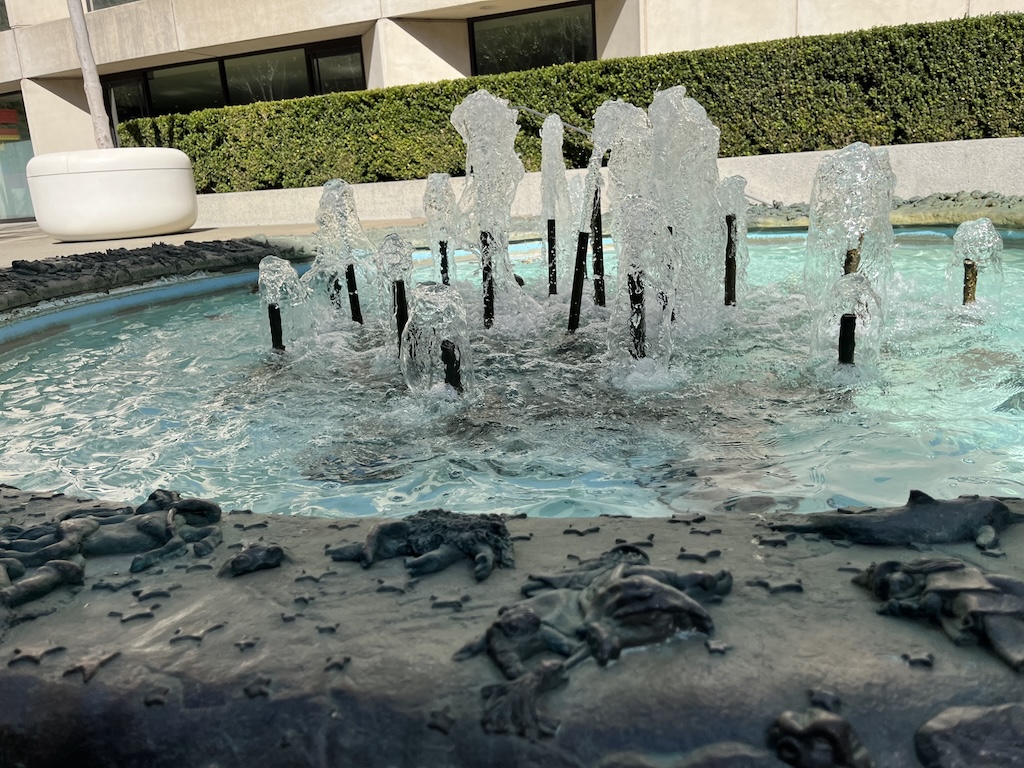 IMG_4132.jpeg