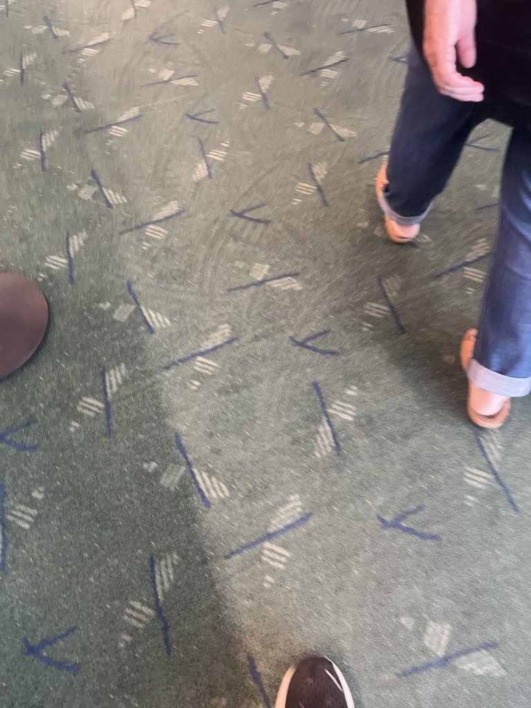 IMG_4167.jpeg